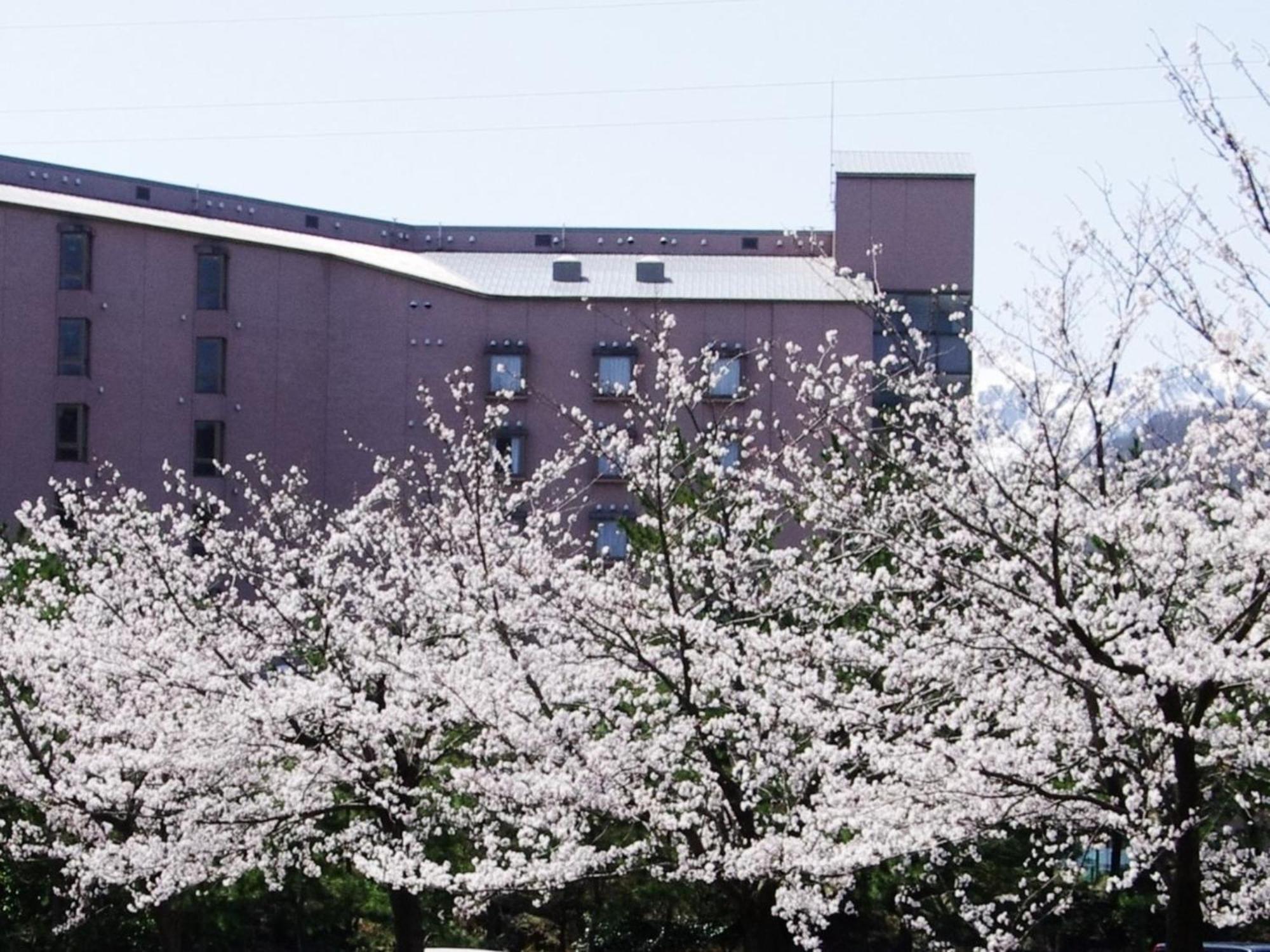 Hotel Kunitomi Annex - Vacation Stay 12072V Itoigawa Ngoại thất bức ảnh